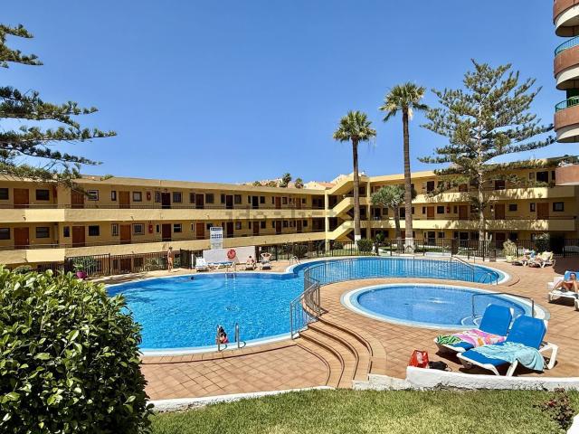 Piso, Arona