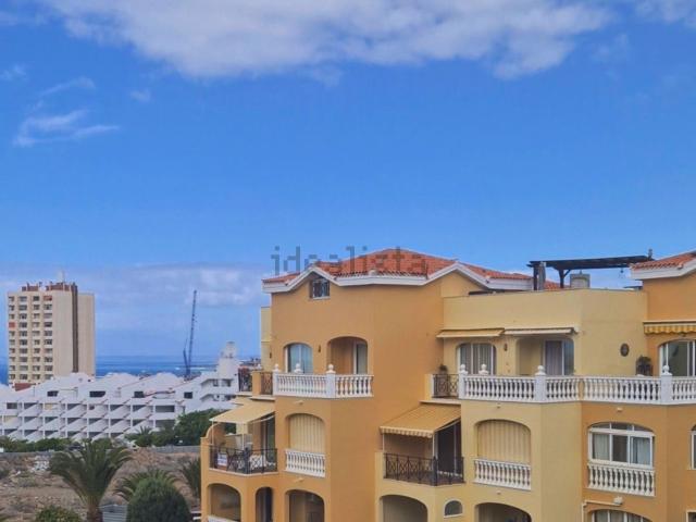 Piso, Arona