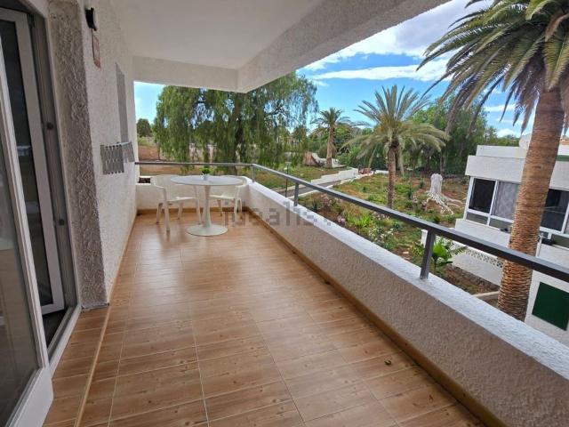Piso, Arona