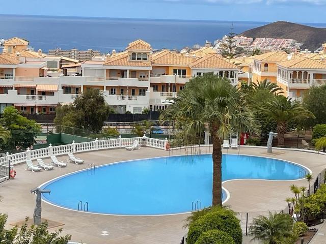Piso, Arona