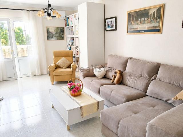 Piso, Arrecife