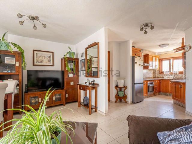 Piso, Arrecife