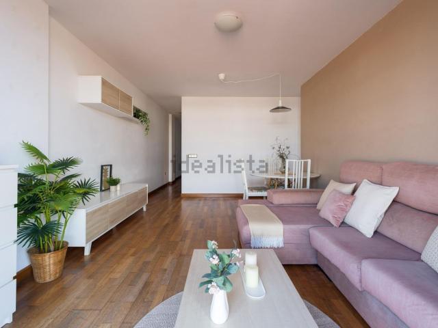 Piso, Arrecife