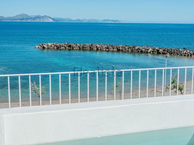 Piso, Arta