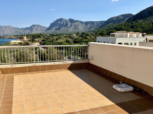 Piso, Arta