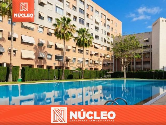 Piso, Babel, Alicante / Alacant