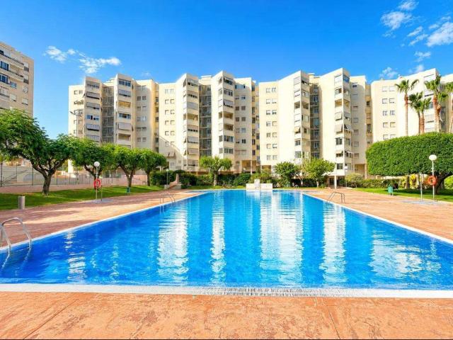 Piso, Babel, Alicante / Alacant