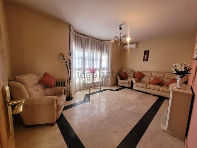 Piso, Baza