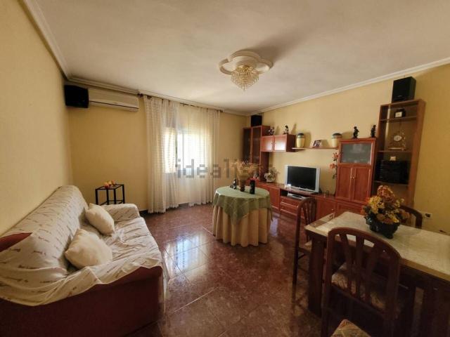 Piso, Baza