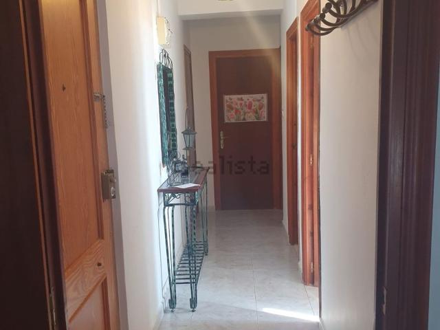 Piso, Baza