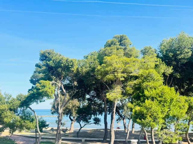 Piso, Benicasim/Benicàssim
