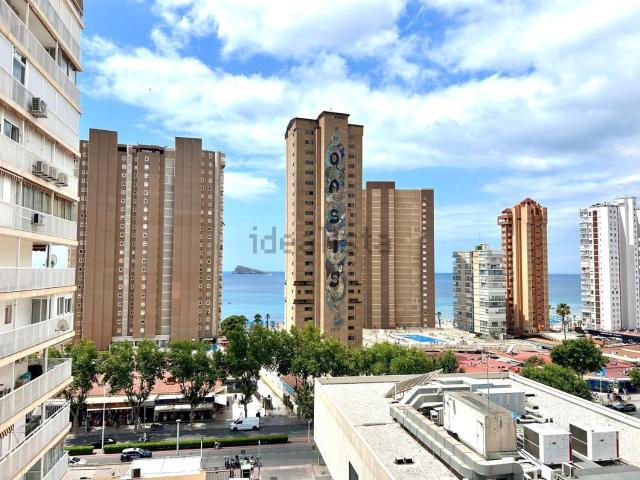 Piso, Benidorm