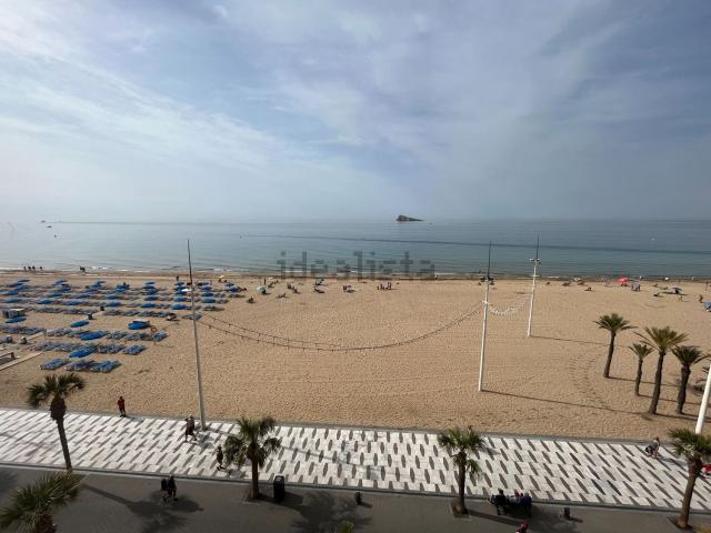 Piso, Benidorm