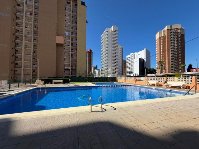 Piso, Benidorm