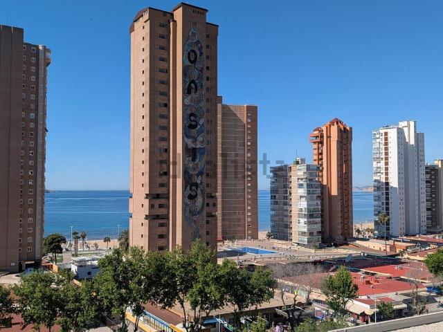 Piso, Benidorm