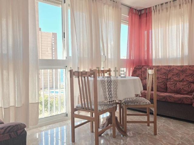 Piso, Benidorm