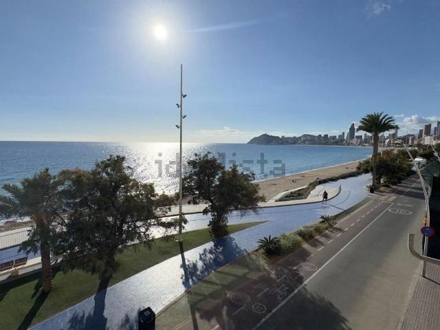 Piso, Benidorm