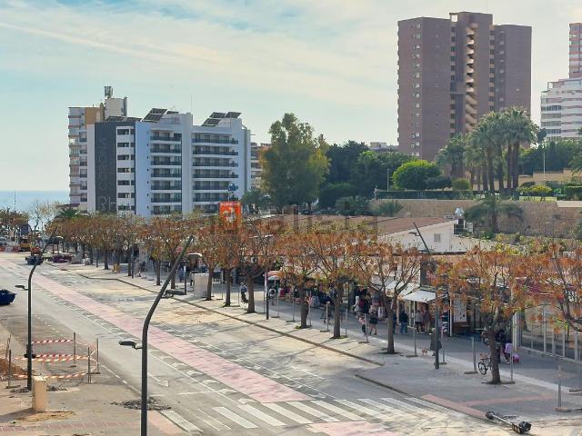 Piso, Benidorm
