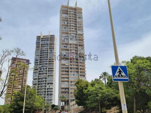 Piso, Benidorm