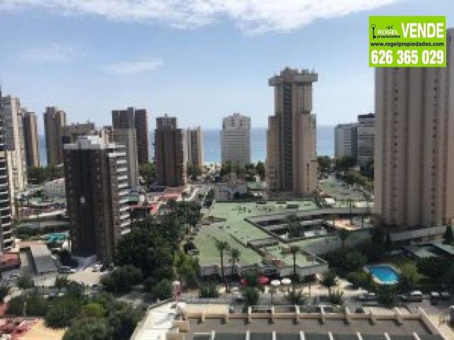 Piso, Benidorm