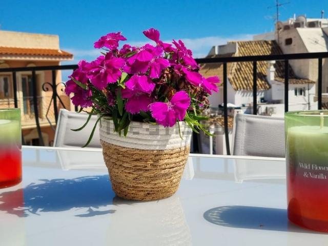 Piso, Benidorm