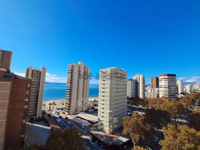 Piso, Benidorm