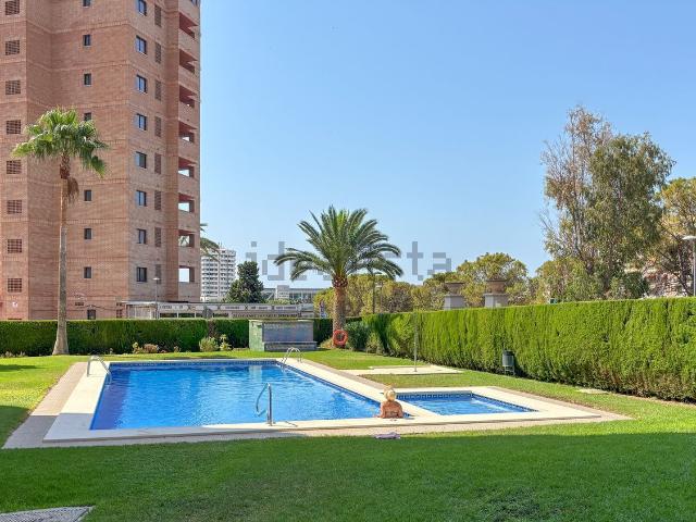 Piso, Benidorm