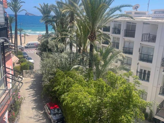Piso, Benidorm