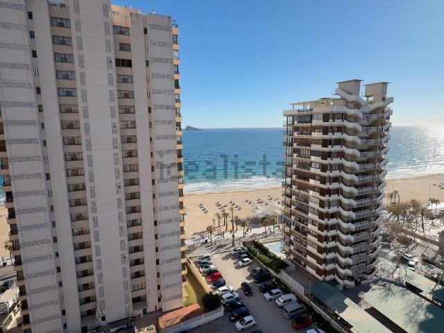 Piso, Benidorm