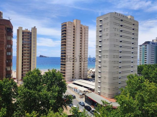 Piso, Benidorm