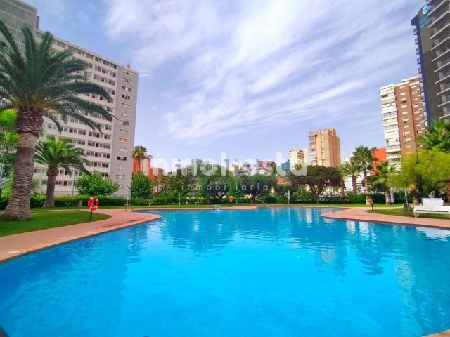 Piso, Benidorm