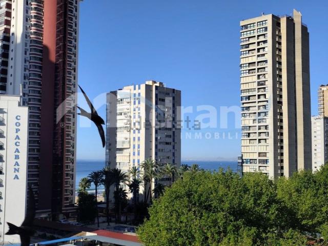 Piso, Benidorm
