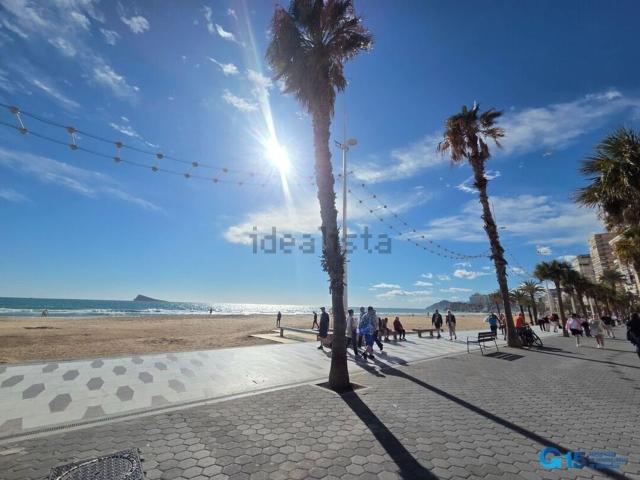 Piso, Benidorm