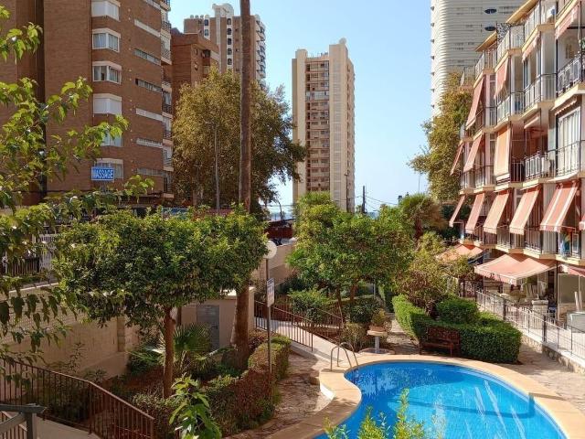 Piso, Benidorm
