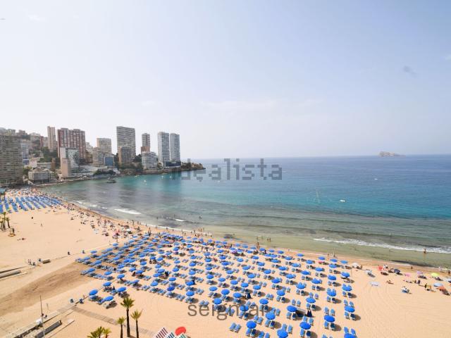 Piso, Benidorm
