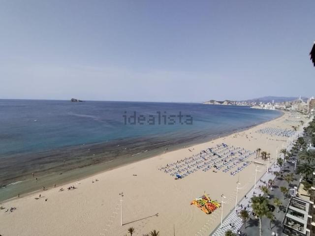 Piso, Benidorm