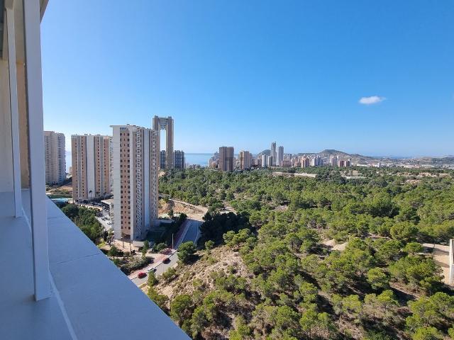 Piso, Benidorm