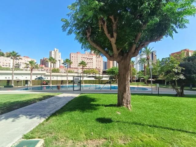 Piso, Benidorm