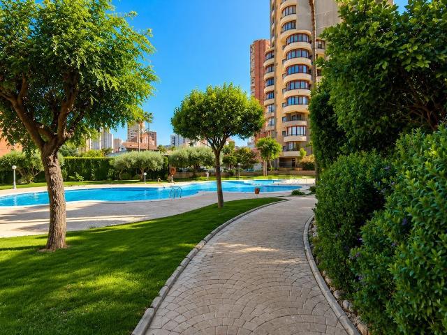 Piso, Benidorm