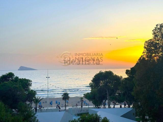 Piso, Benidorm