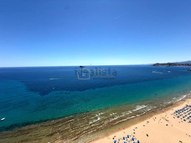 Piso, Benidorm