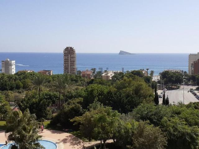 Piso, Benidorm