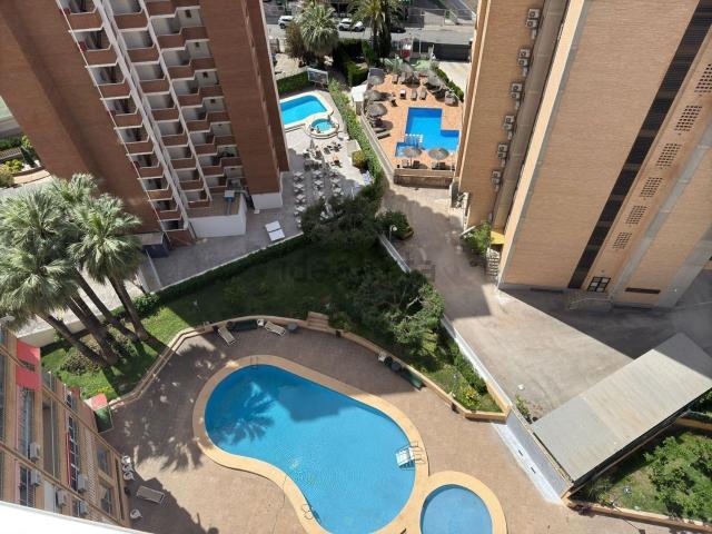 Piso, Benidorm