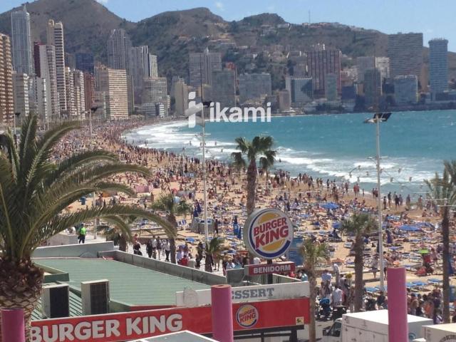 Piso, Benidorm