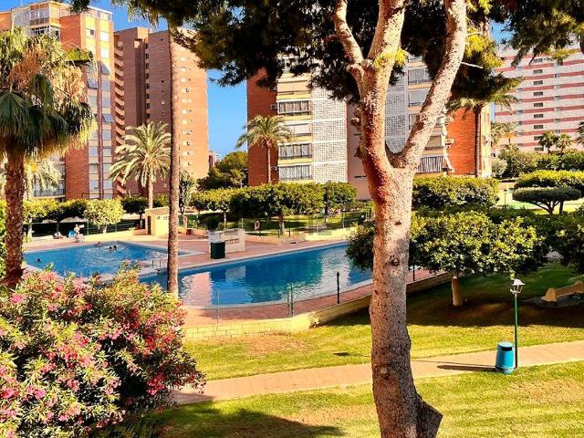 Piso, Benidorm