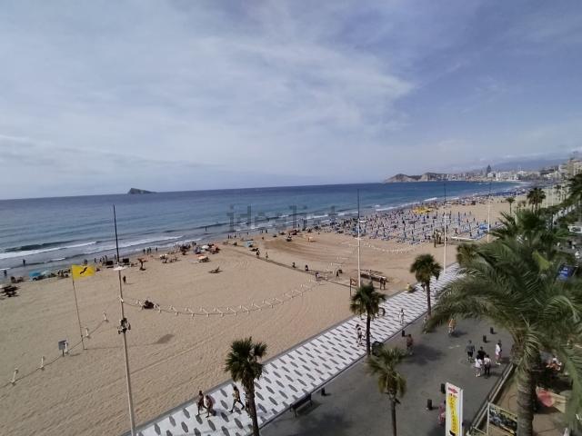 Piso, Benidorm
