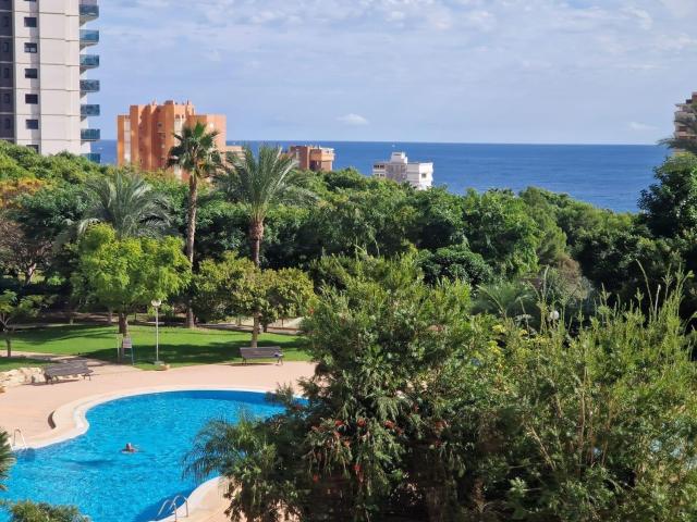 Piso, Benidorm