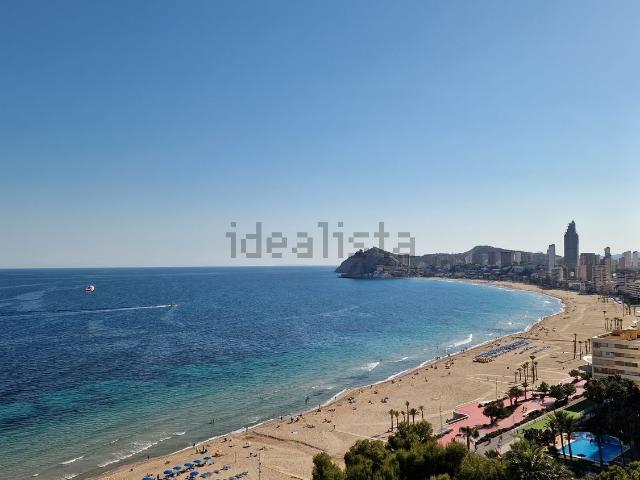 Piso, Benidorm