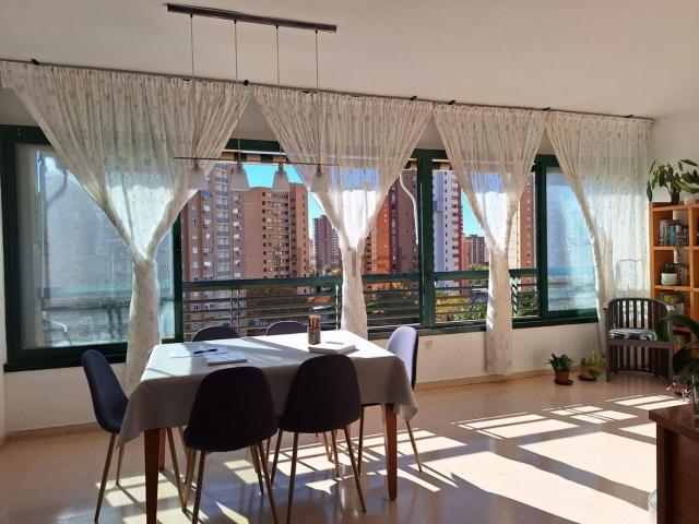 Piso, Benidorm