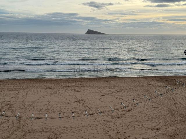 Piso, Benidorm